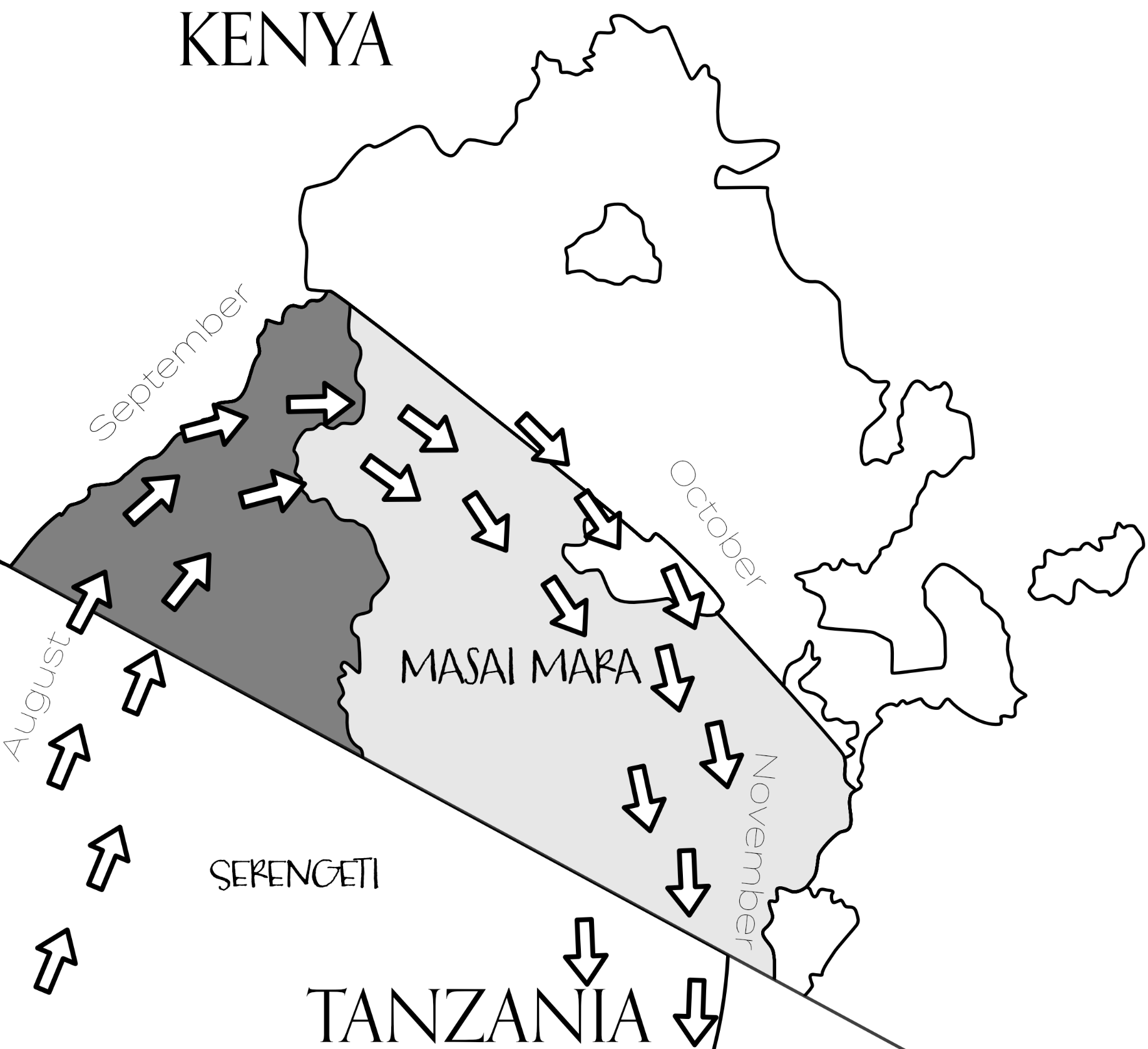 Map of the Masai Mara displaying the timeline of the great migration across the natural reserve