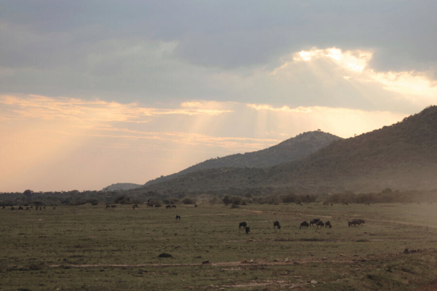 A sunset in the Masai Mara