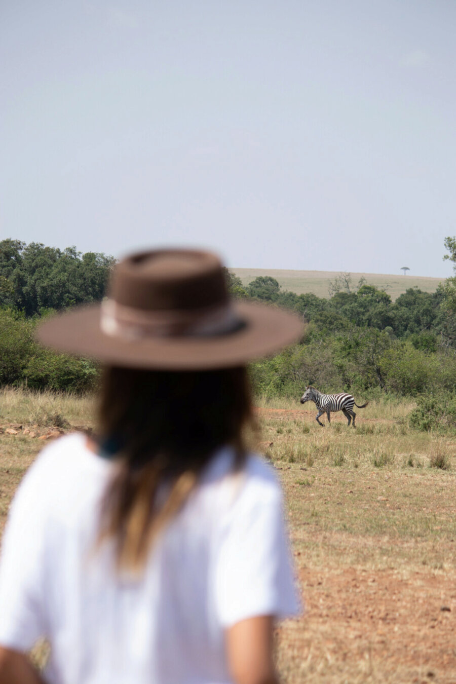 Pili watching a zebra